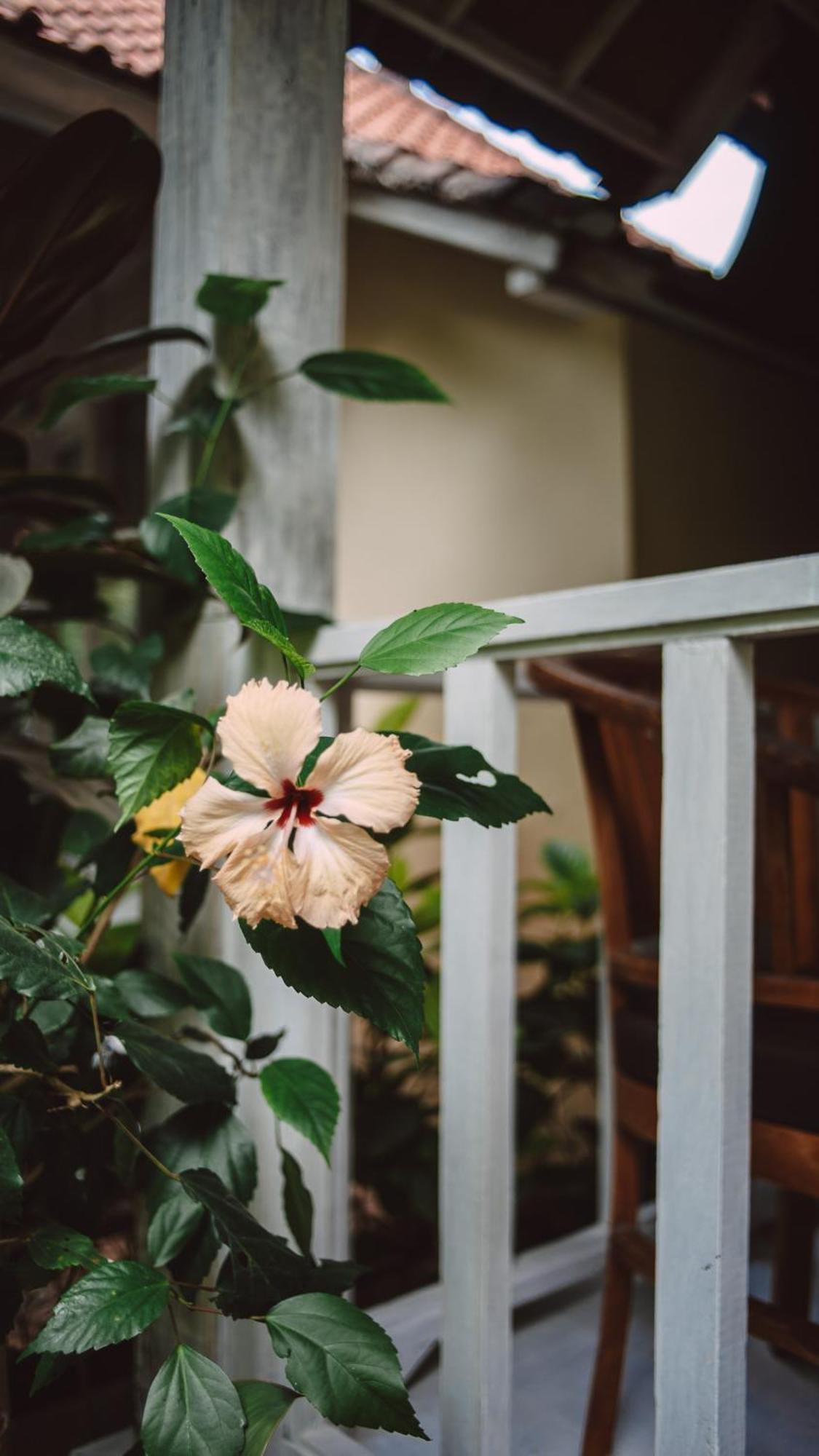 The Lucky Cottage Nusa Lembongan  Bagian luar foto